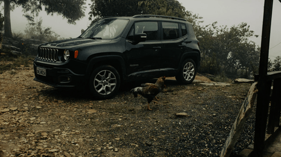 blog_jeep_2025901890986701223