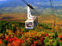 八甲田連峰の紅葉